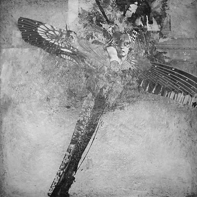 Dragonfly
